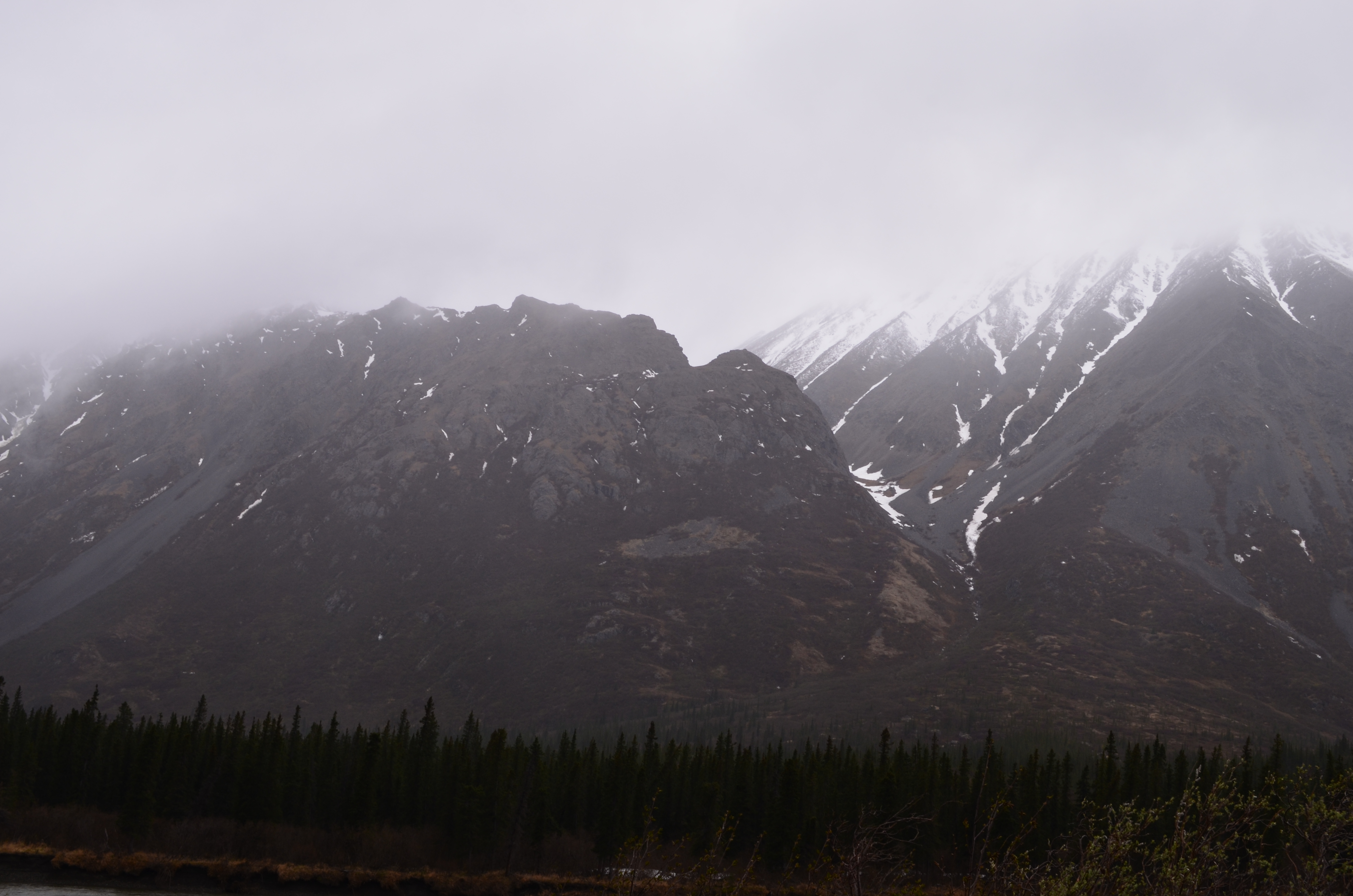 ./2017/08 - Alaska Cruise/03 - Denali/DSC_0110.JPG